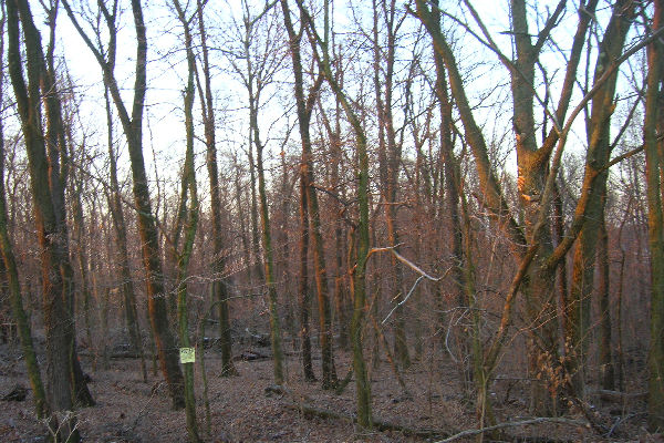 Woods location, North Fayette Township