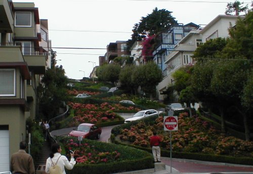 Lombard Street from the Bottom